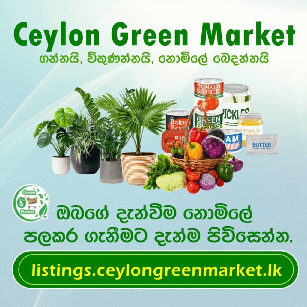 Ceylon Green Market Ad Animation